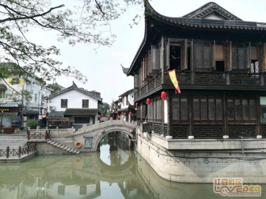 绿树造林是什么意思?-最全面的问答网站